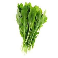 Garden Rocket